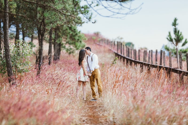 Whirlwind Romance